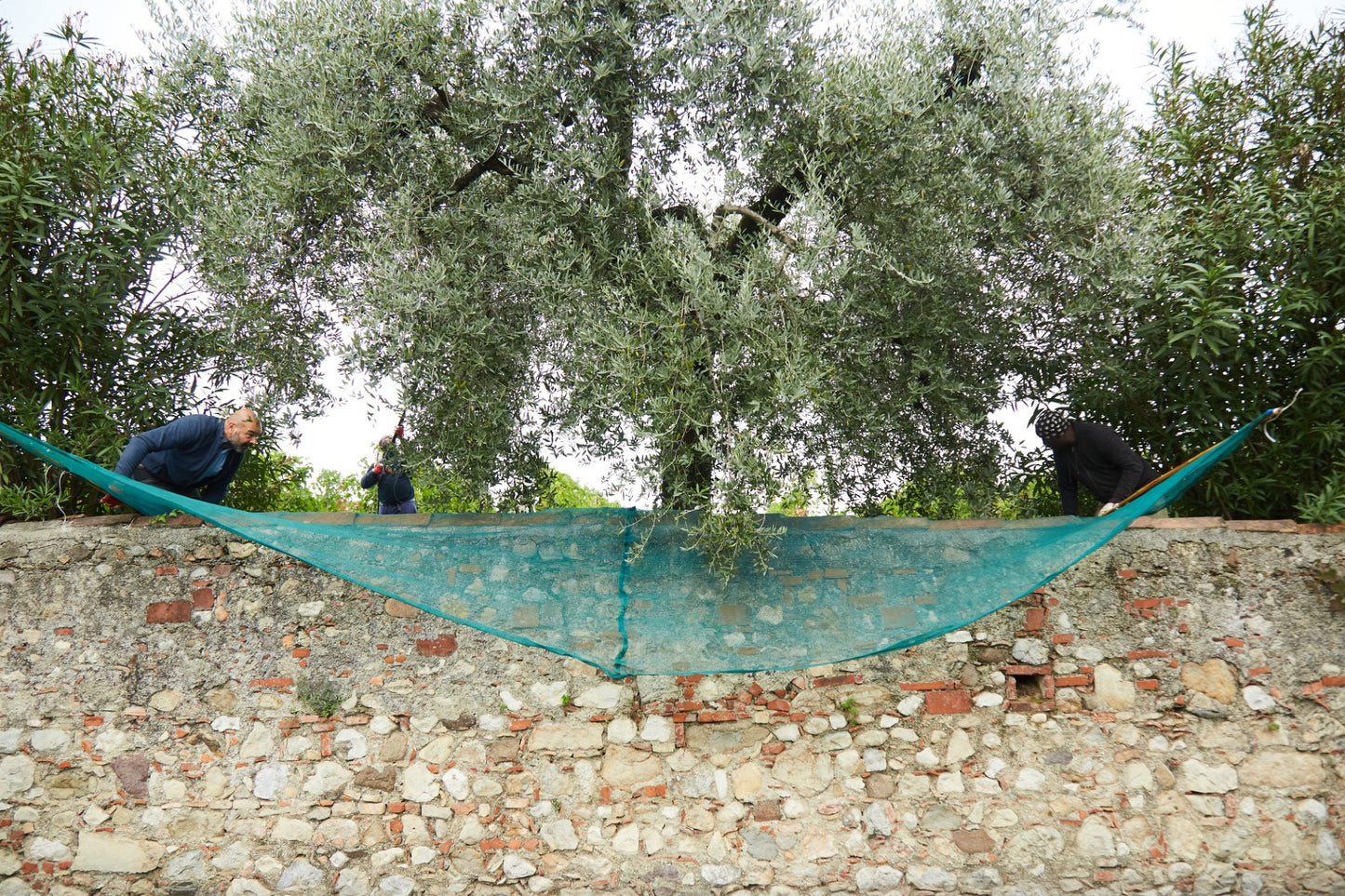 Prenota La tua Degustazione